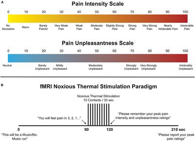 Music to My Senses: Functional Magnetic Resonance Imaging Evidence of Music Analgesia Across Connectivity Networks Spanning the Brain and Brainstem